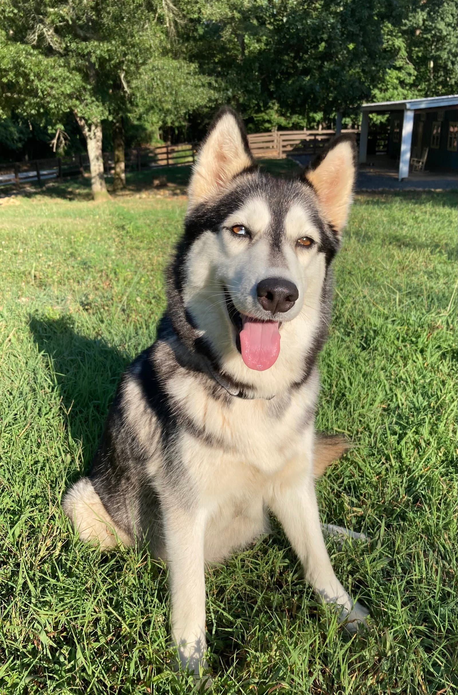 Luna