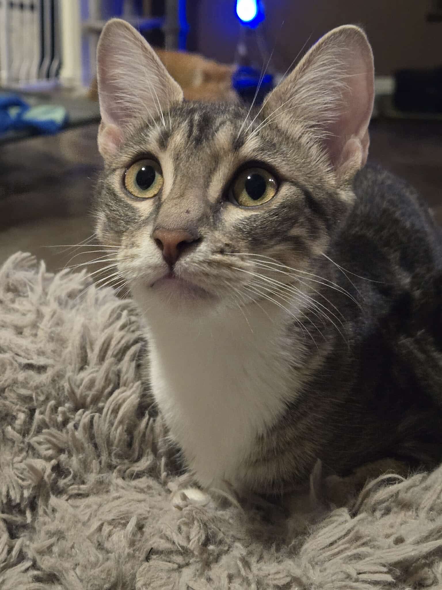 Sonny
