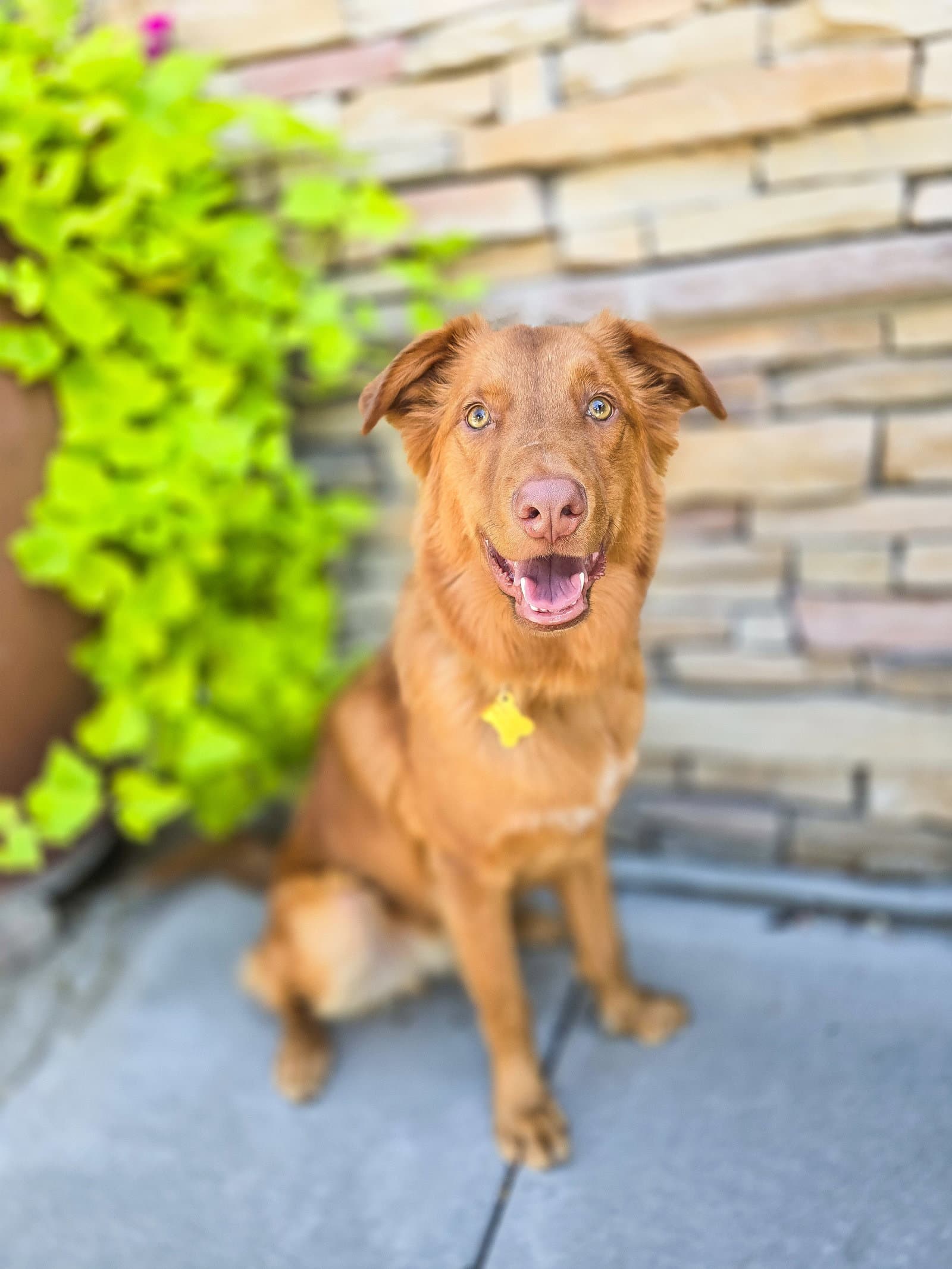 Weiser