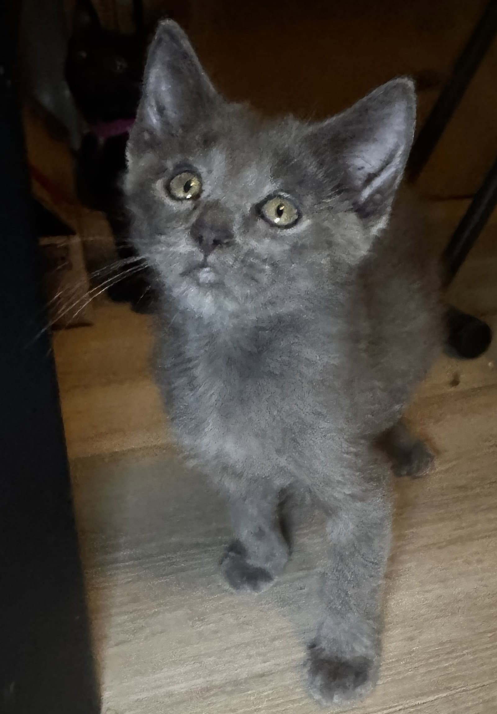 Leo