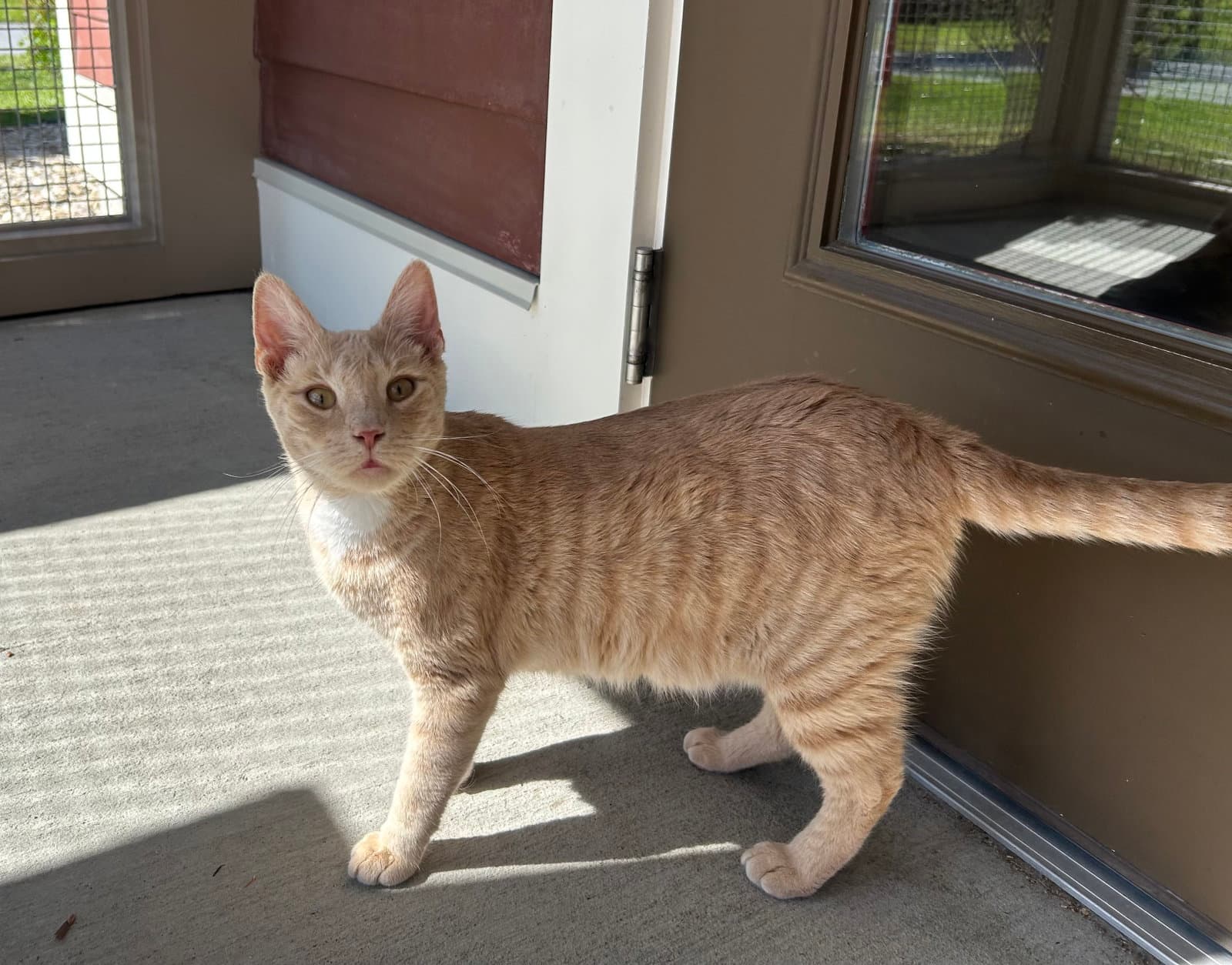 Milo