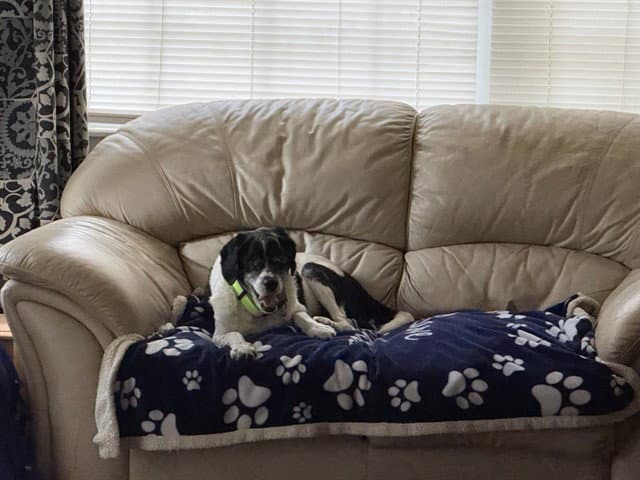 Milo