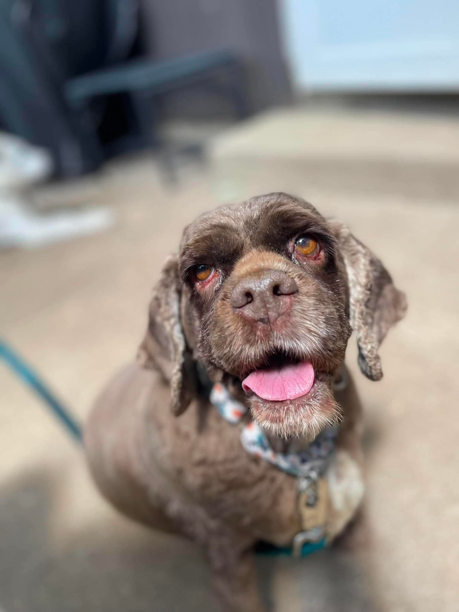 Hershey