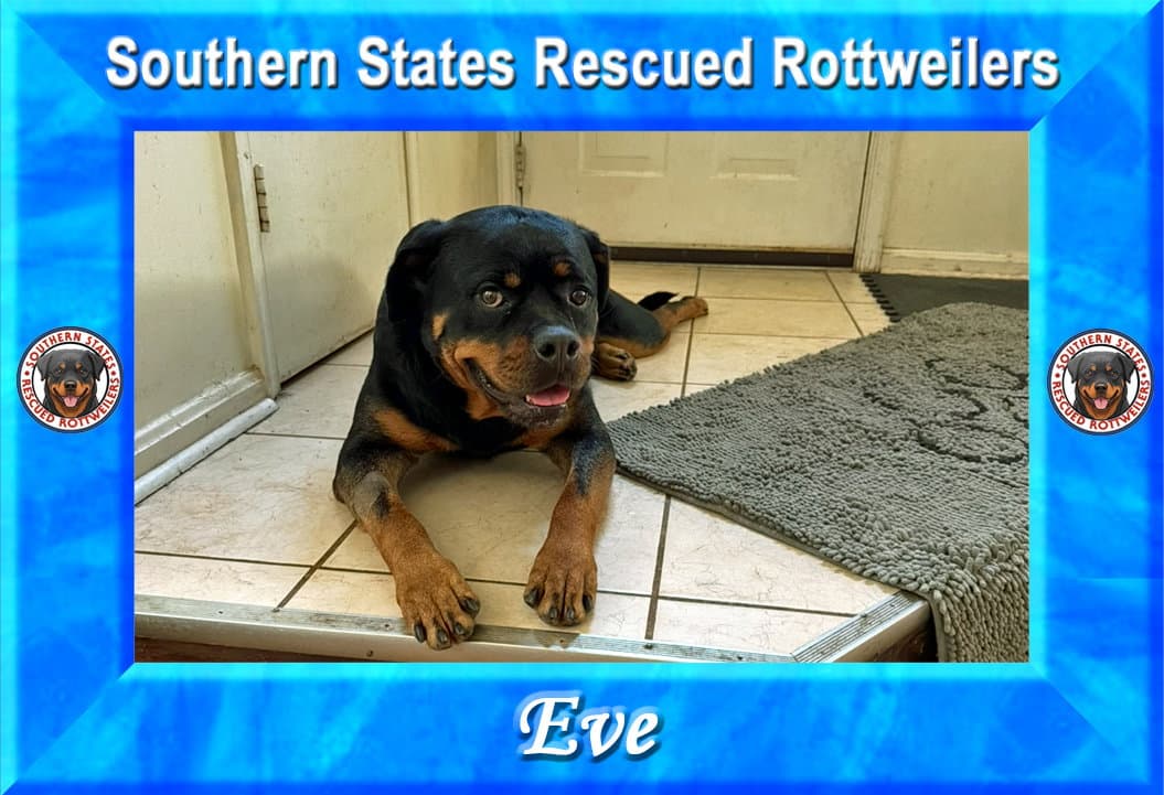 Eve