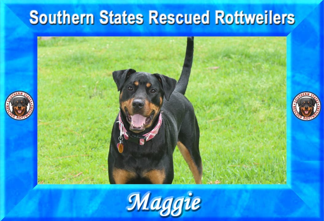 Maggie