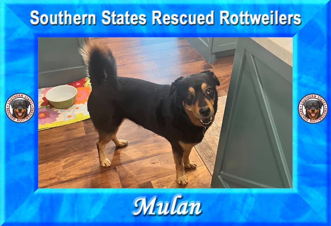Mulan