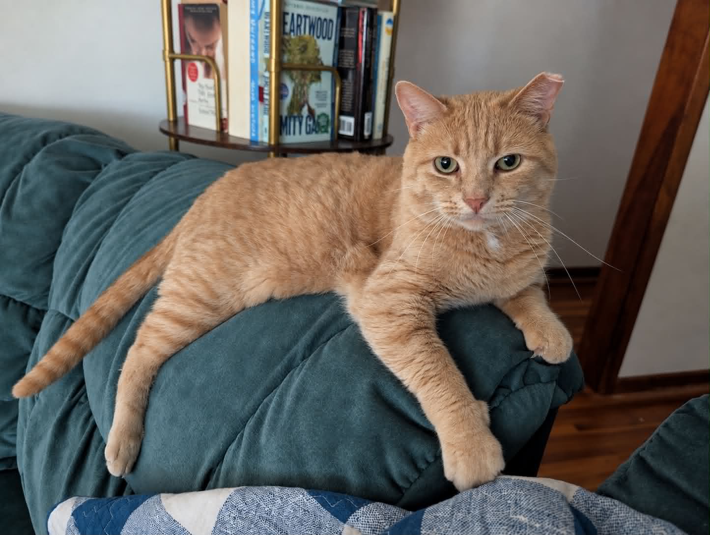Walter