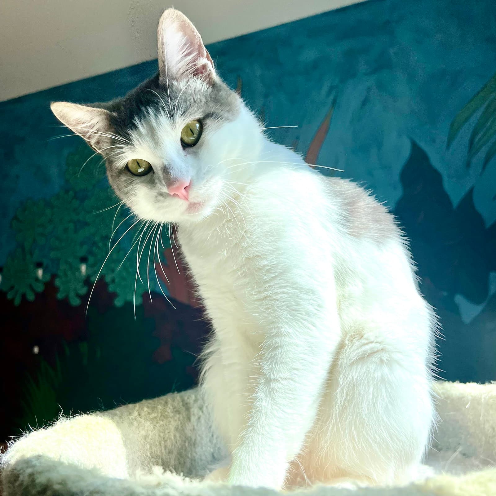 Pixel