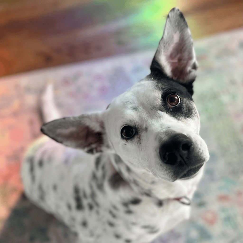 Nora