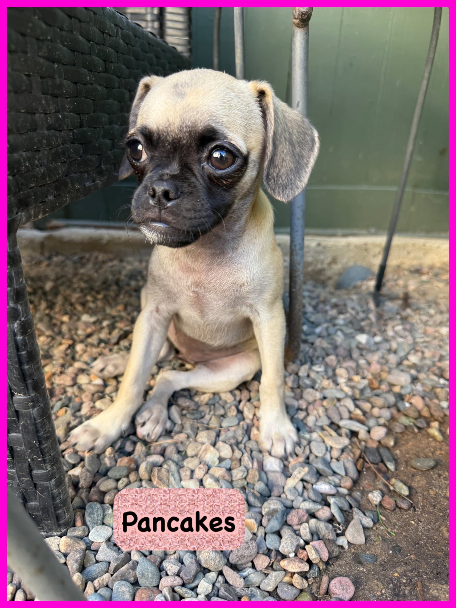 Pancakes