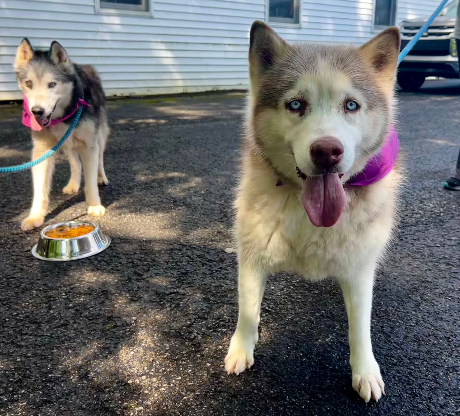Lucy: Bonded with Kira