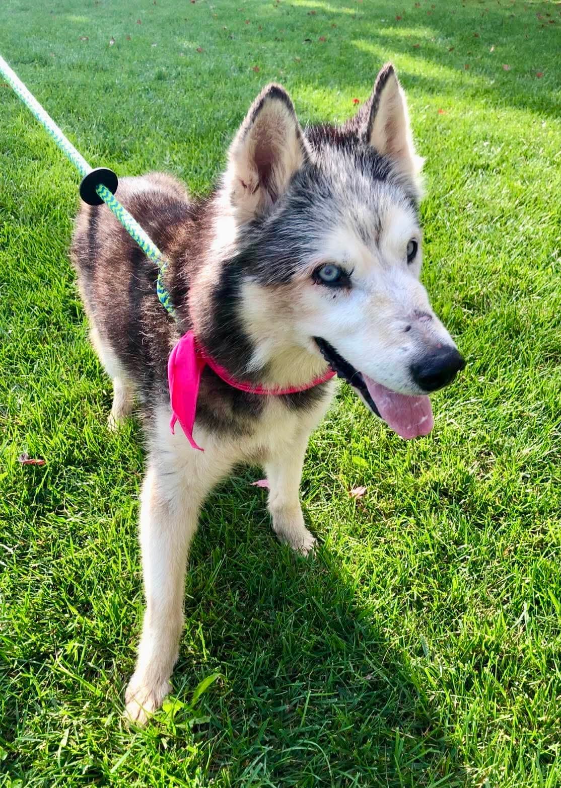 Kira: Bonded with Lucy