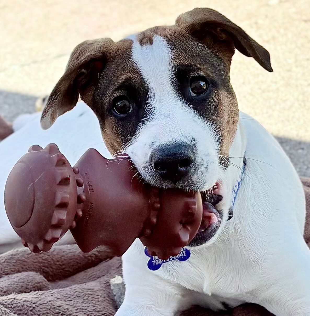 Opie