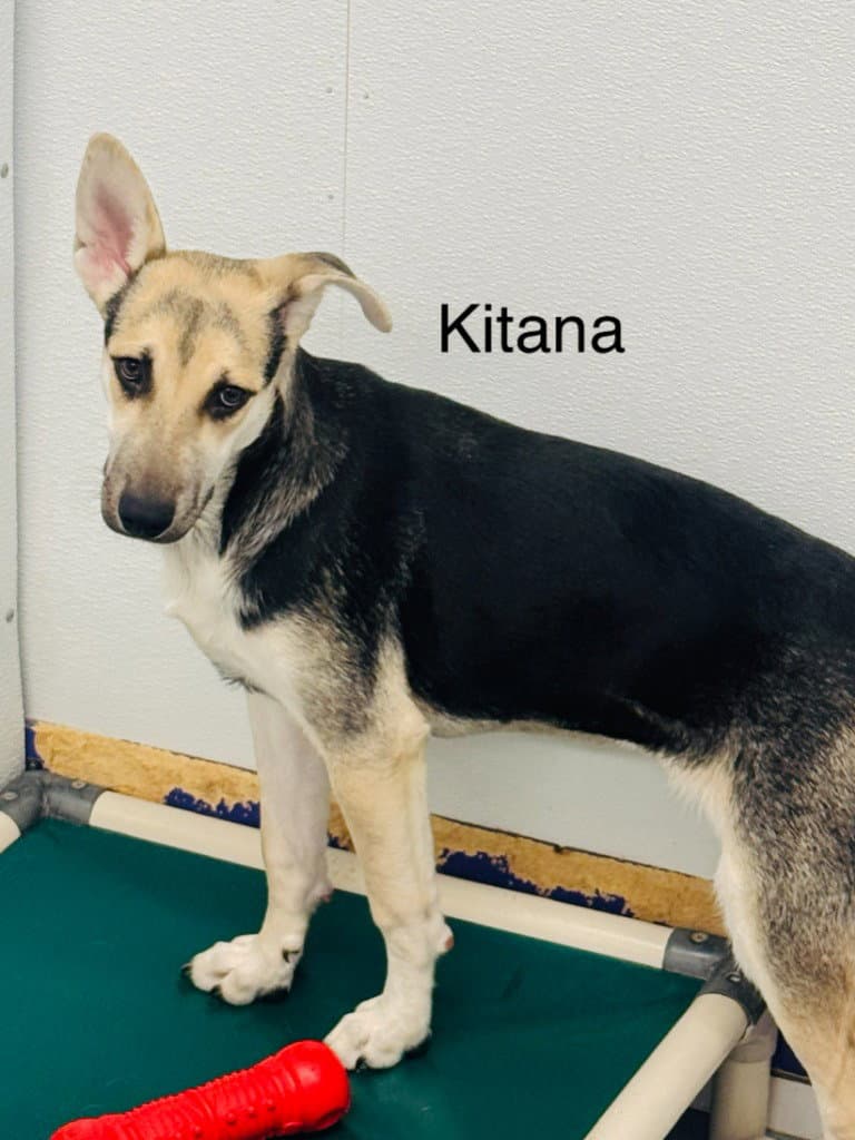 Kitana