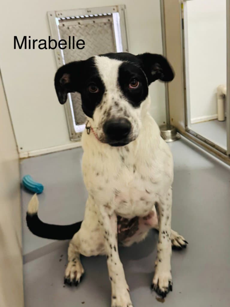 Mirabel