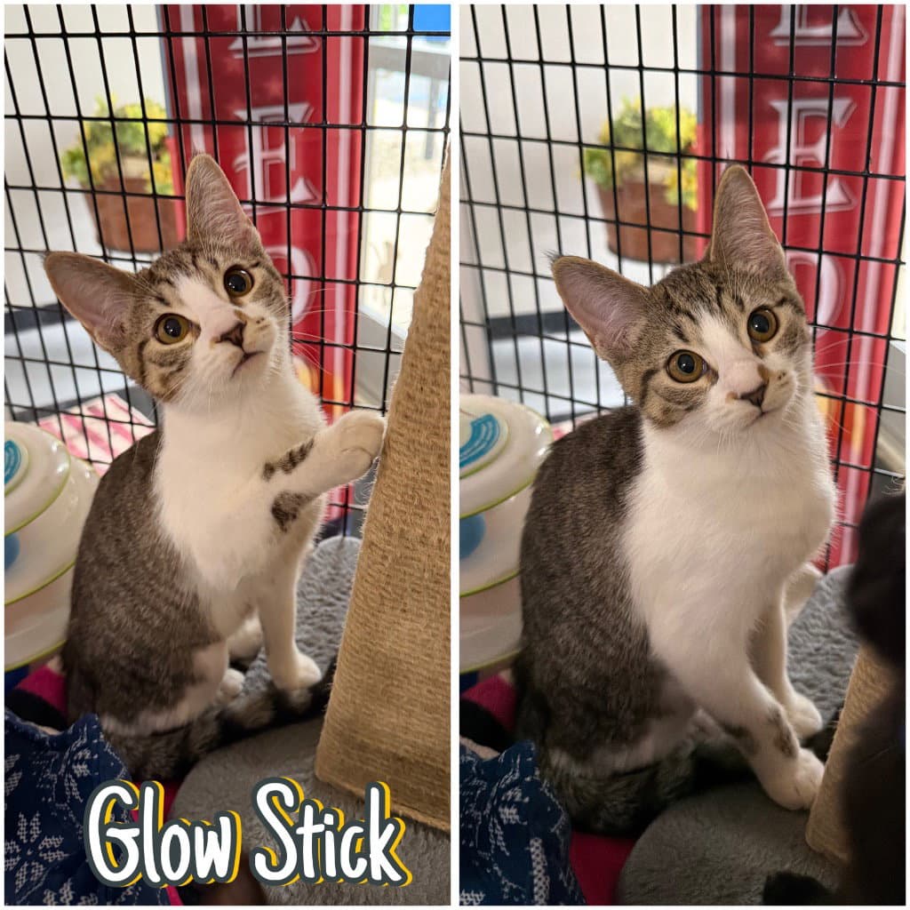 Glow Stick