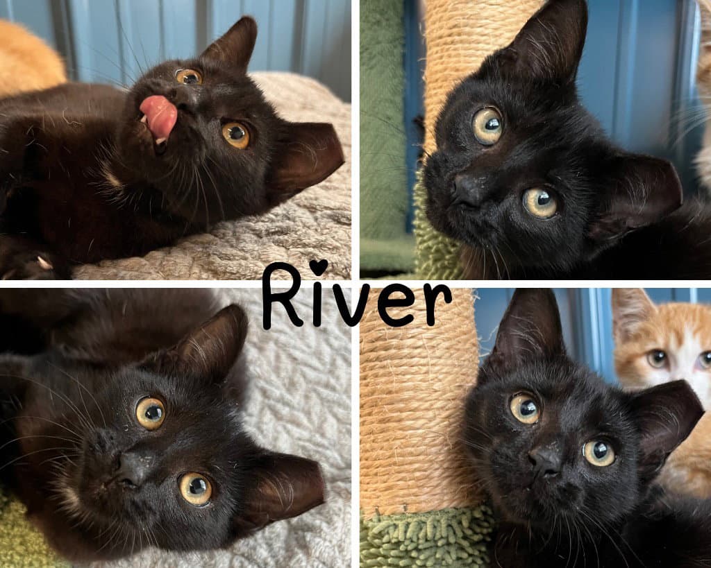 River
