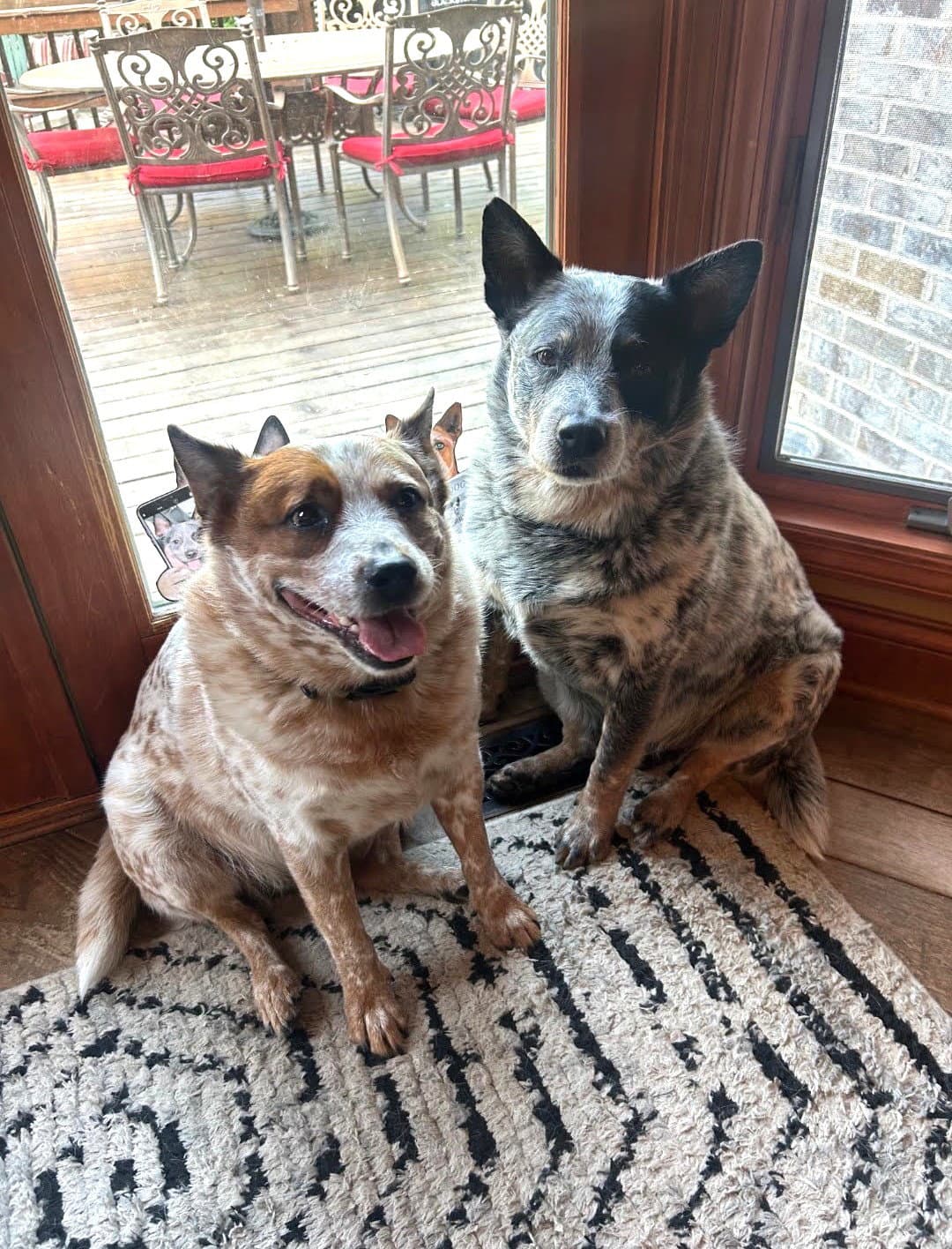 Waylon and Cash
