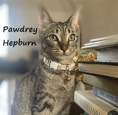 Pawdrey Hepburn #spunky-n-sweet