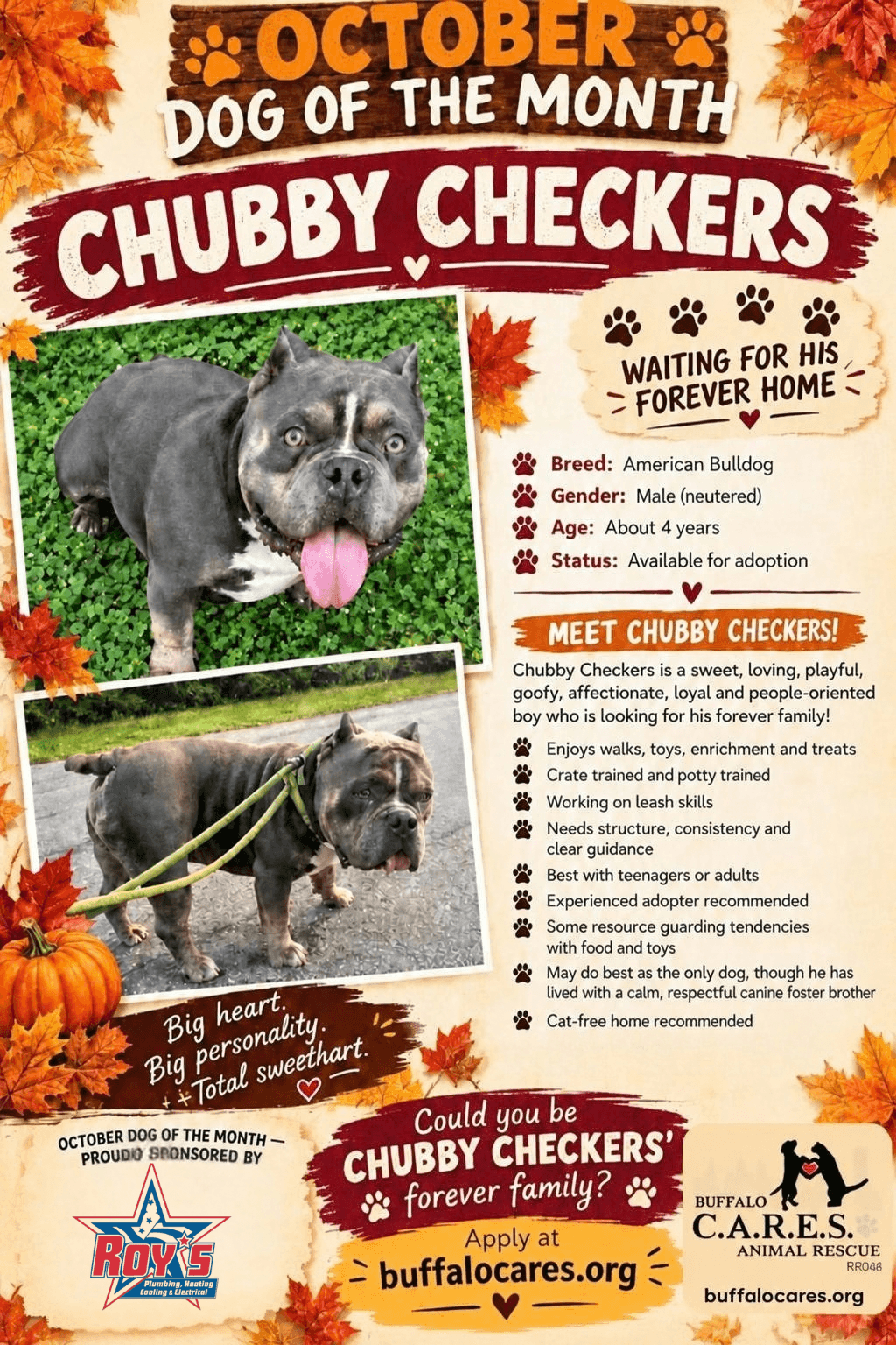 Chubby Checkers