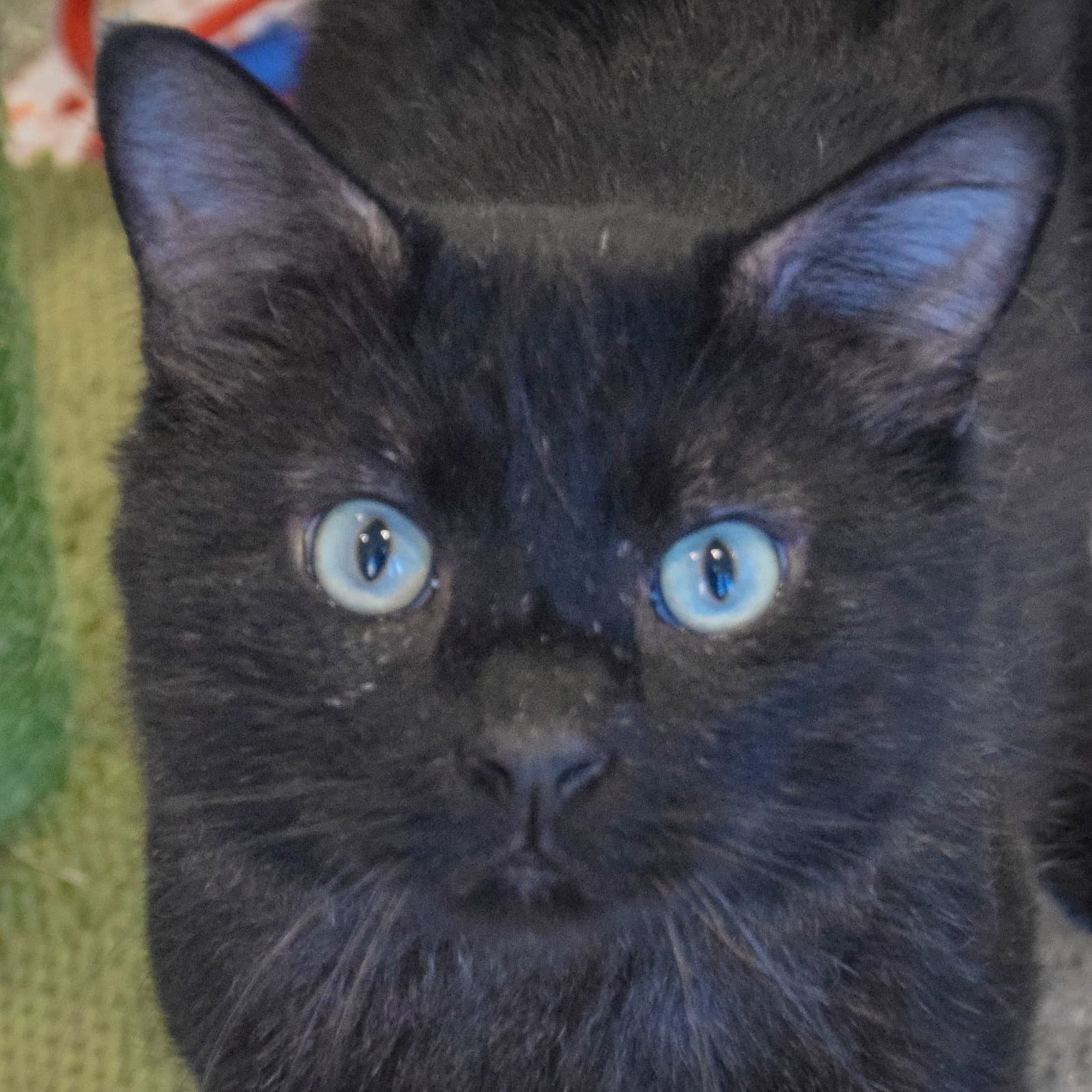 Malachi