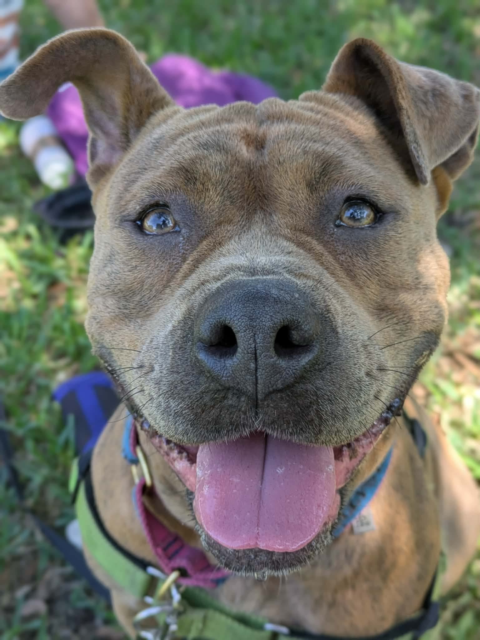 Xena