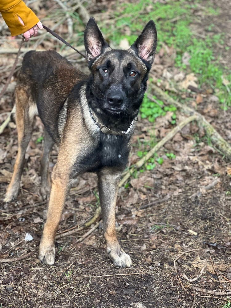 Mateo