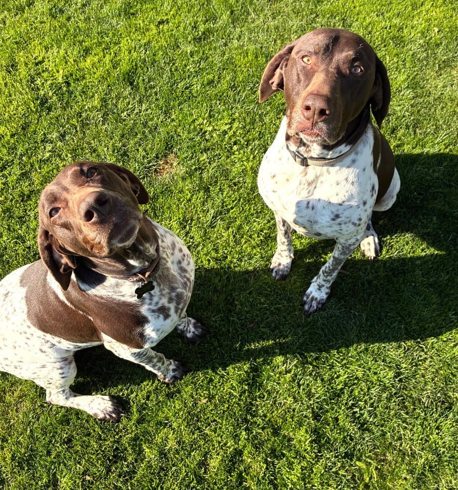 Thor & Ellie