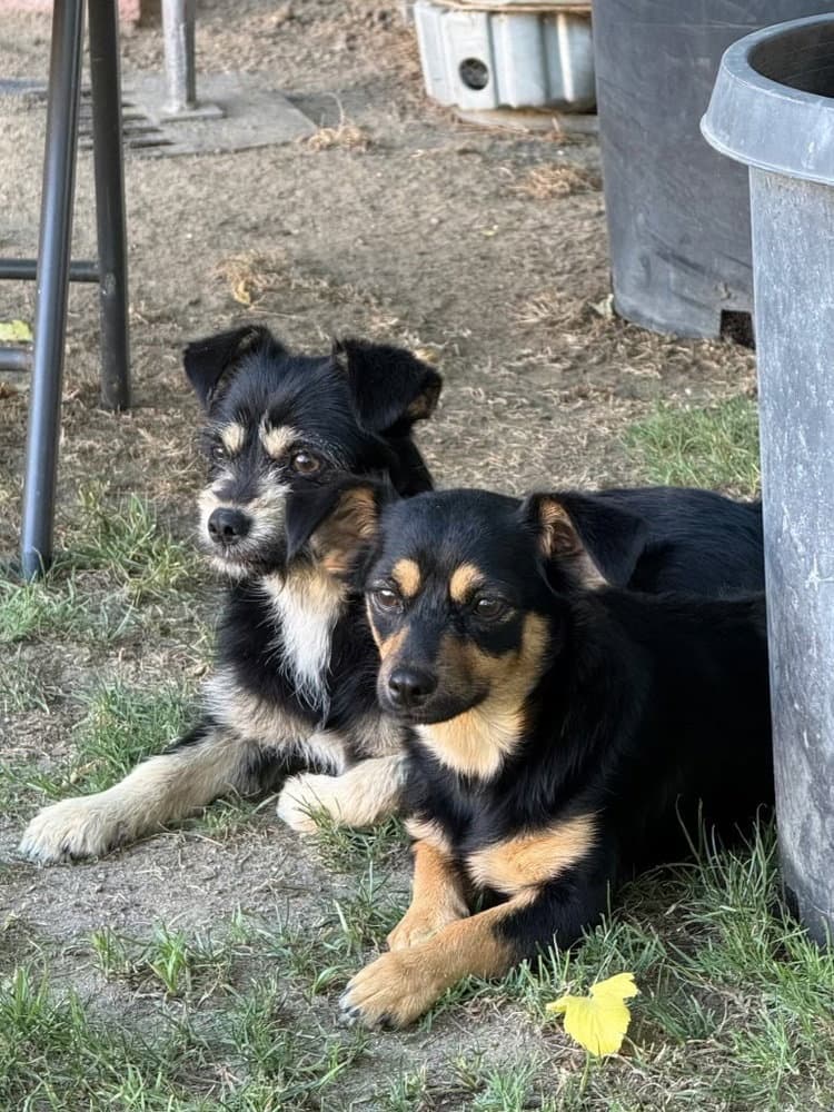 Winnie & Penny