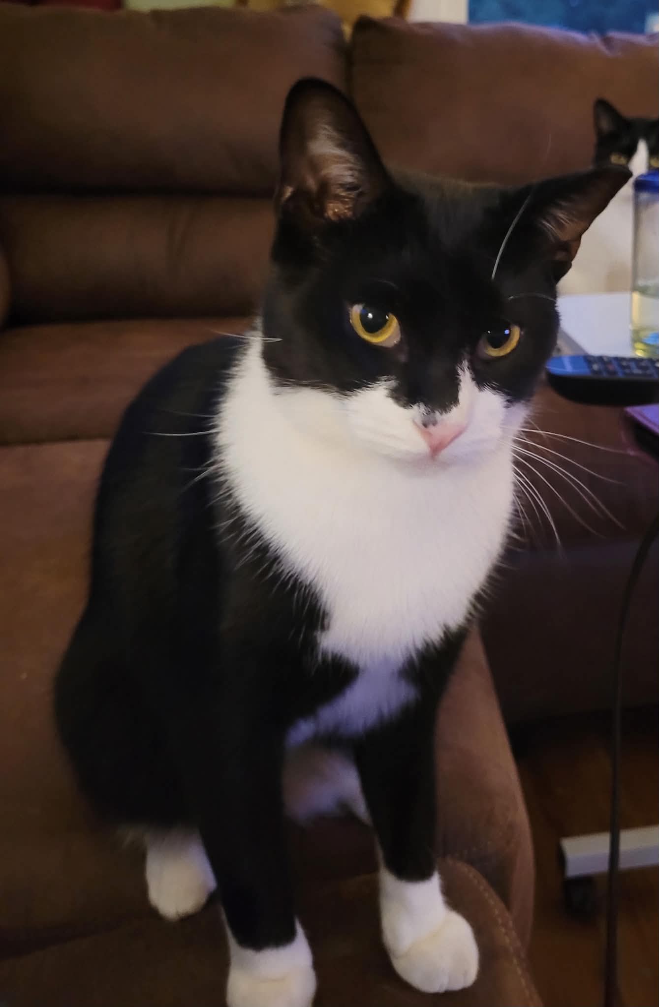 Smudge