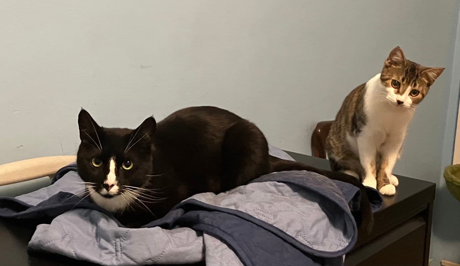 Charlie and Farrah