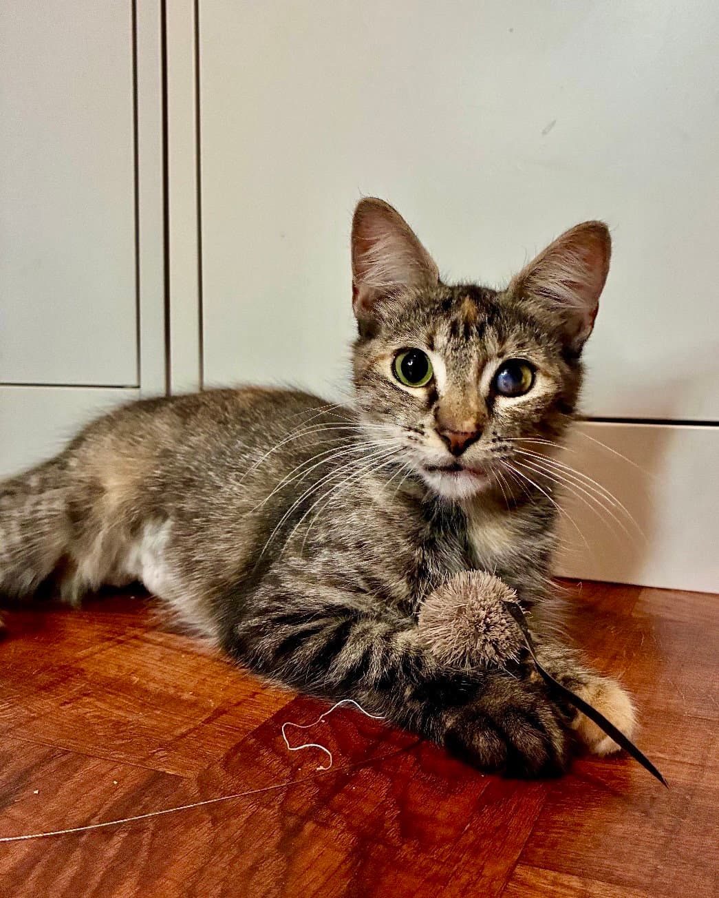 Esmeralda