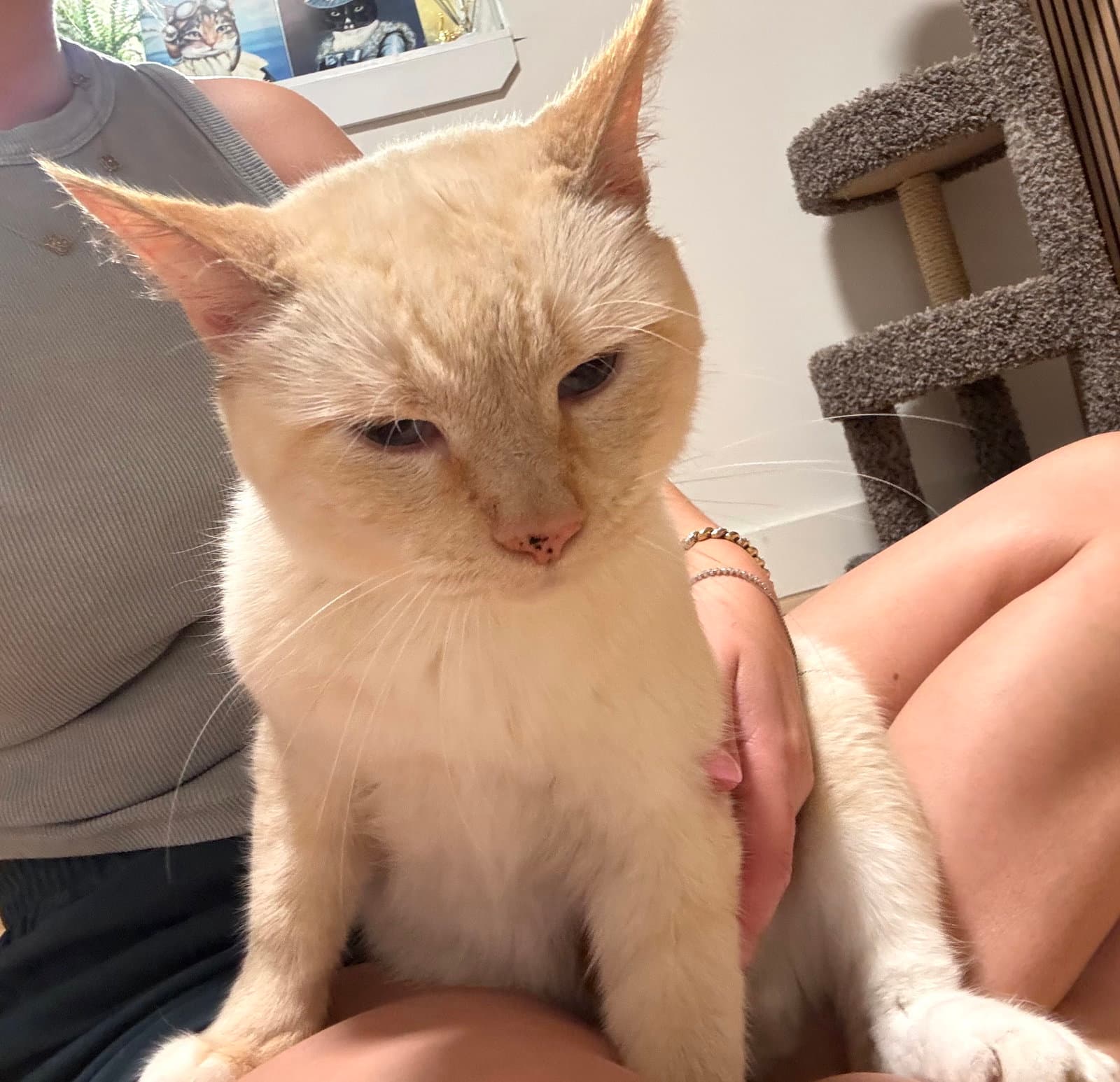 Leo