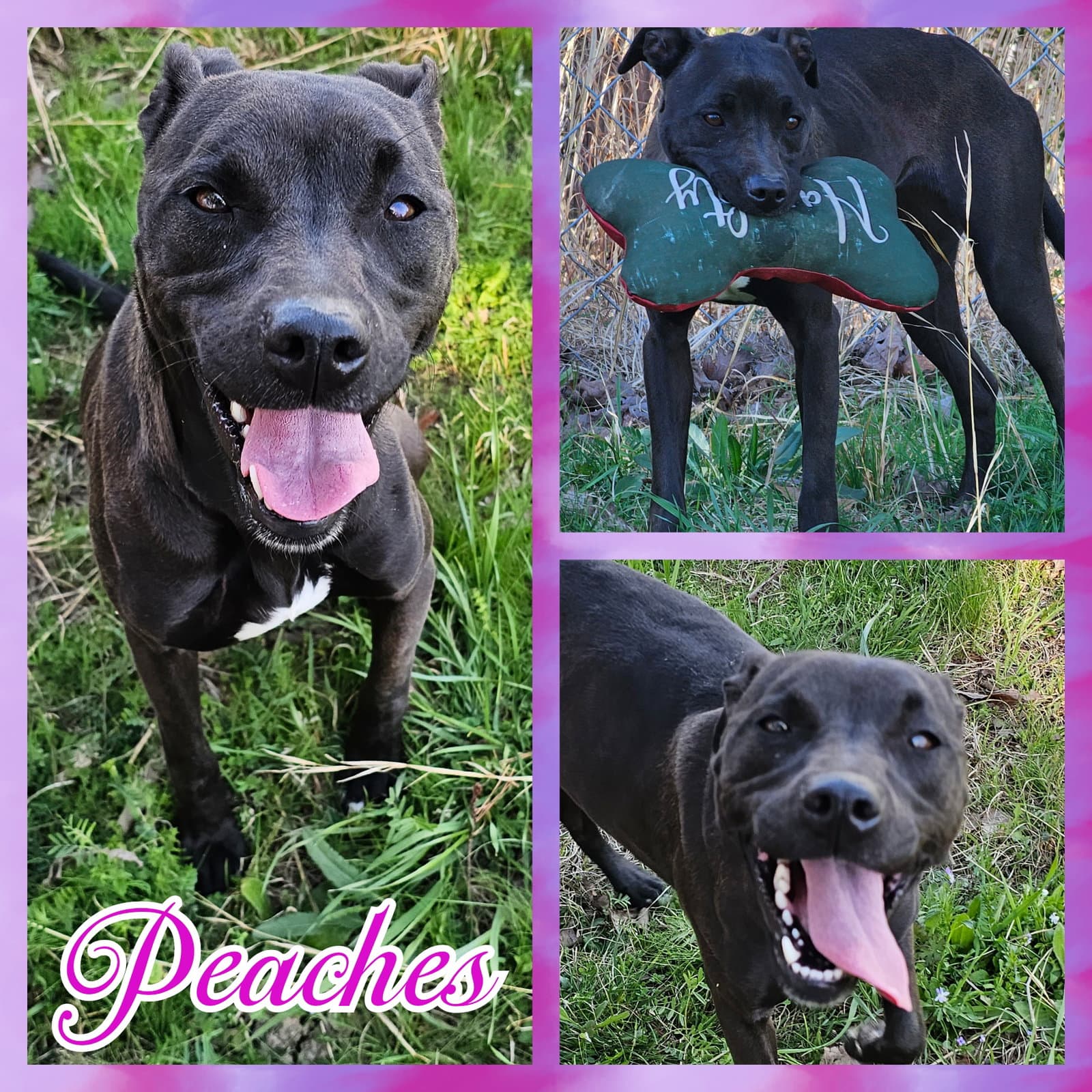 Peaches