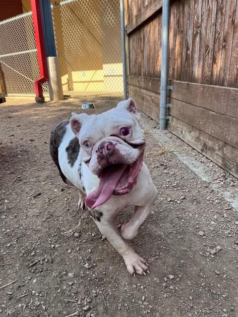 Betty
