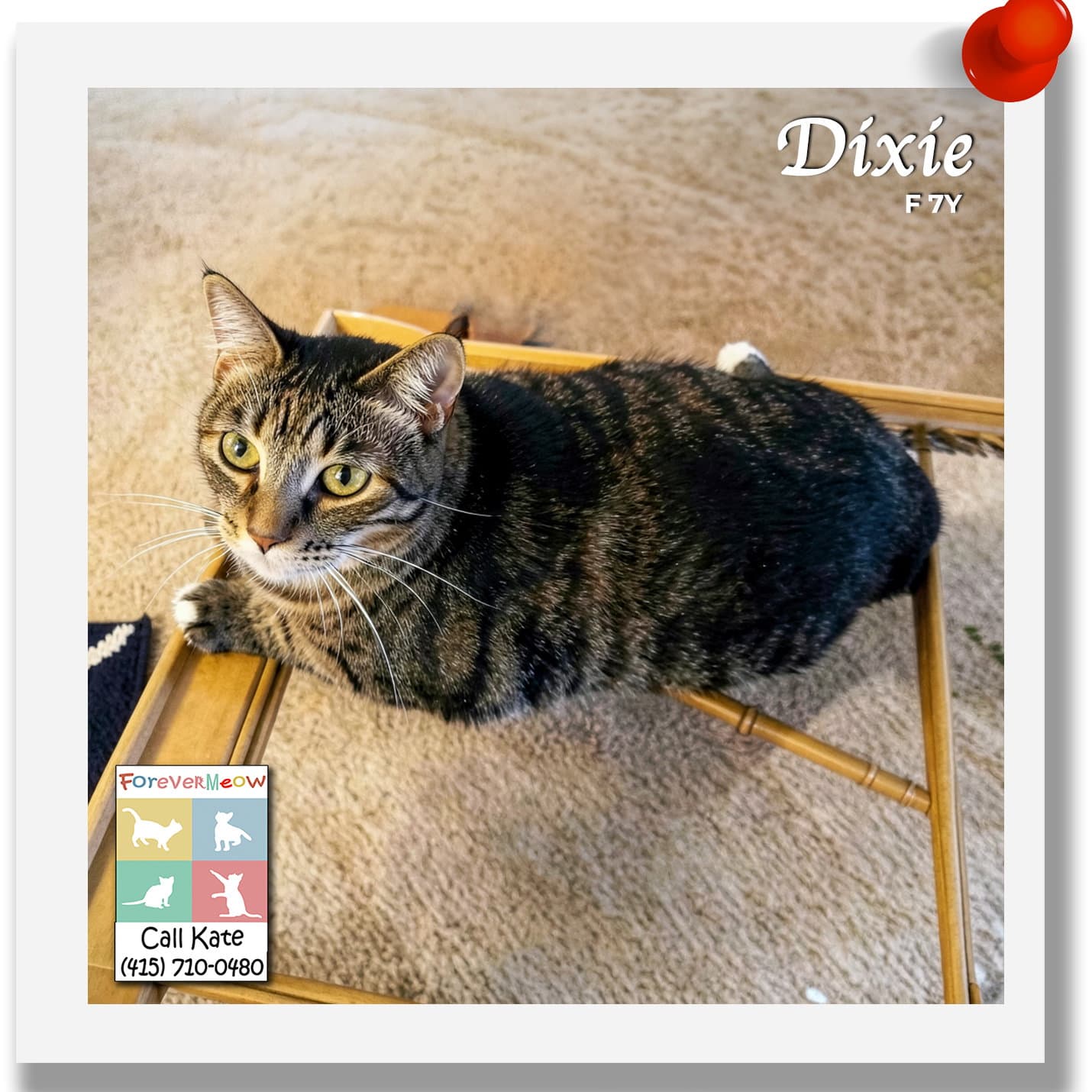 Dixie