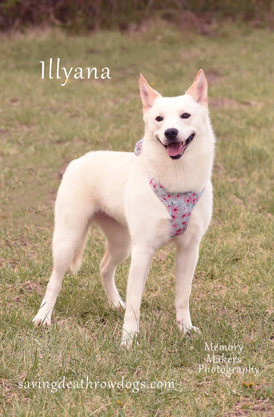 Illyana