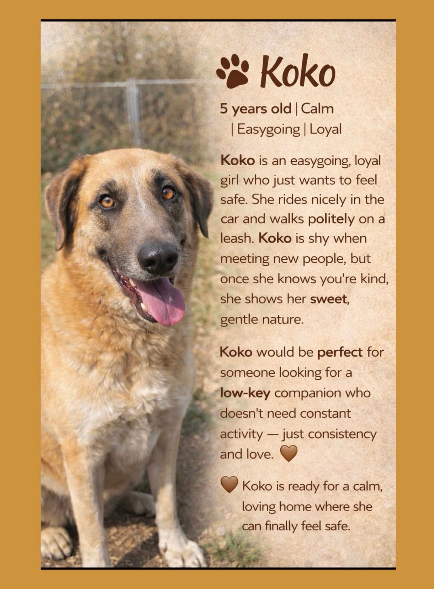 KoKo