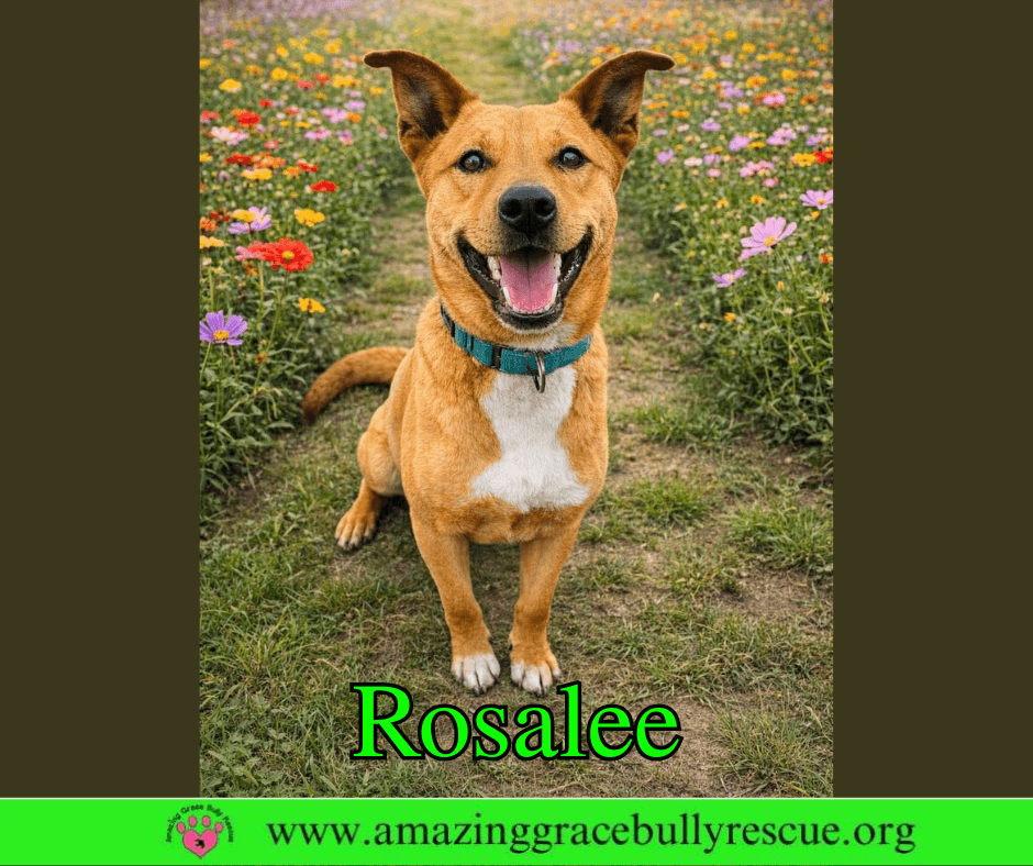Rosalee