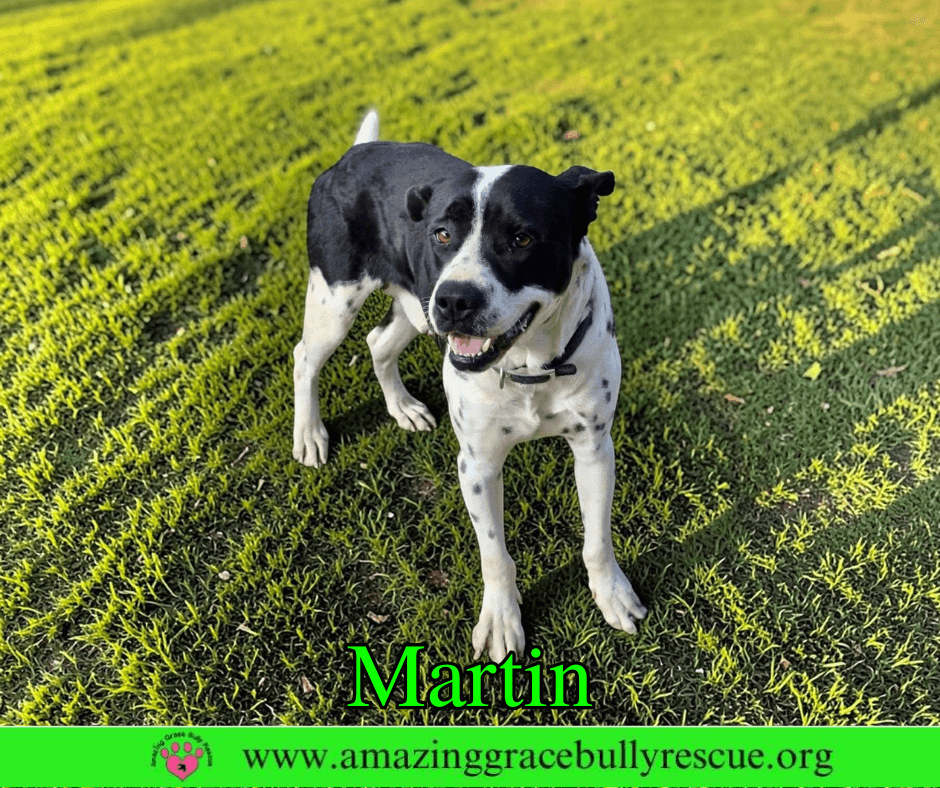 Martin