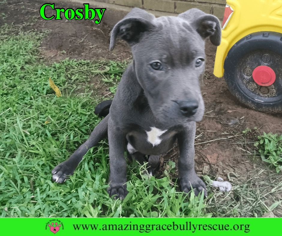 Crosby
