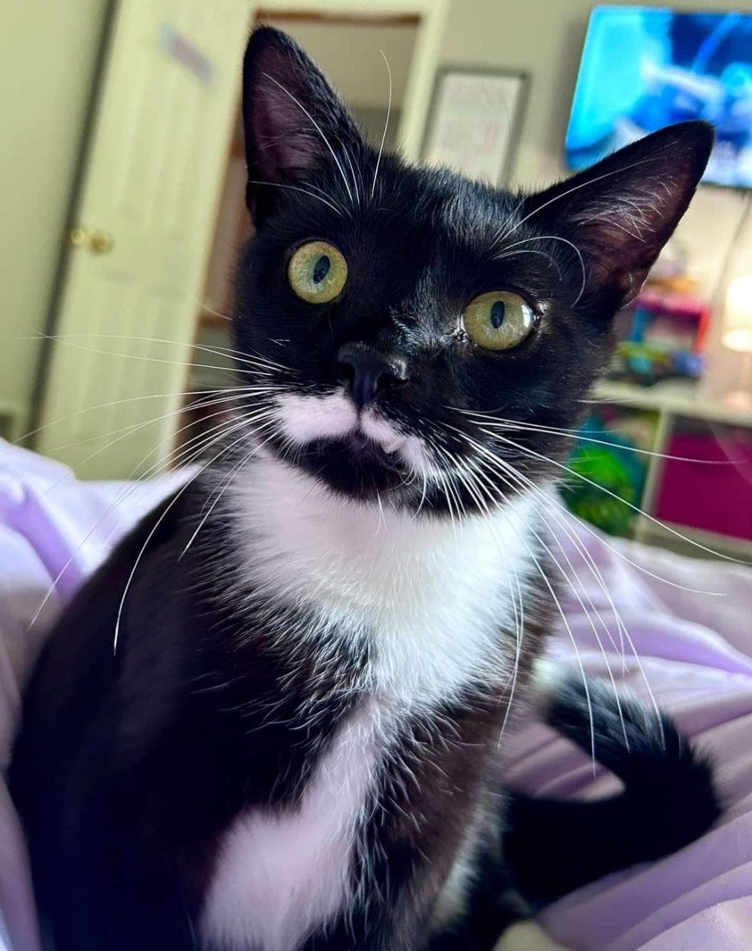 Poe