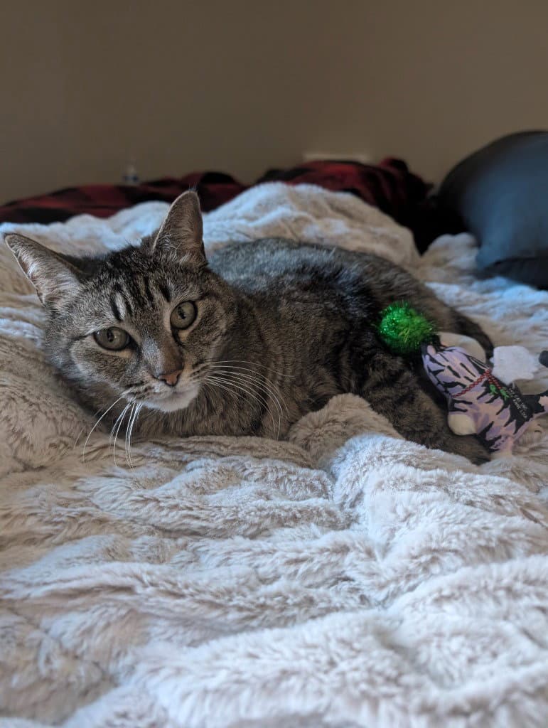 Miss Tilly