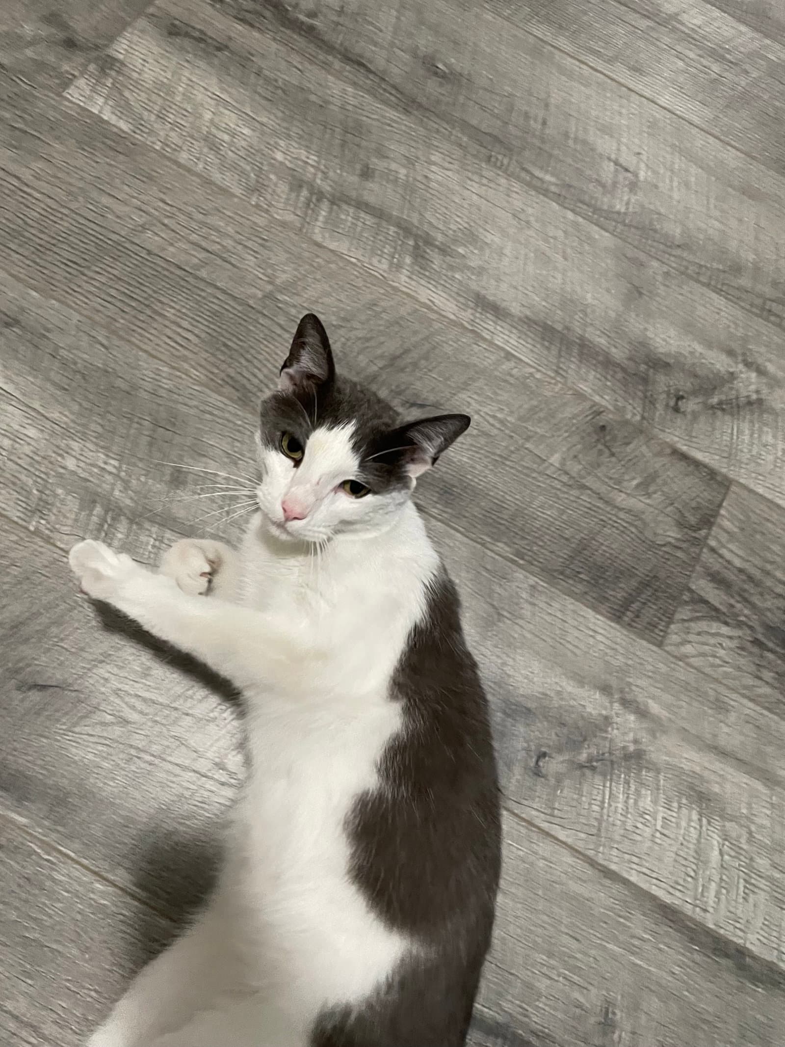 Misu