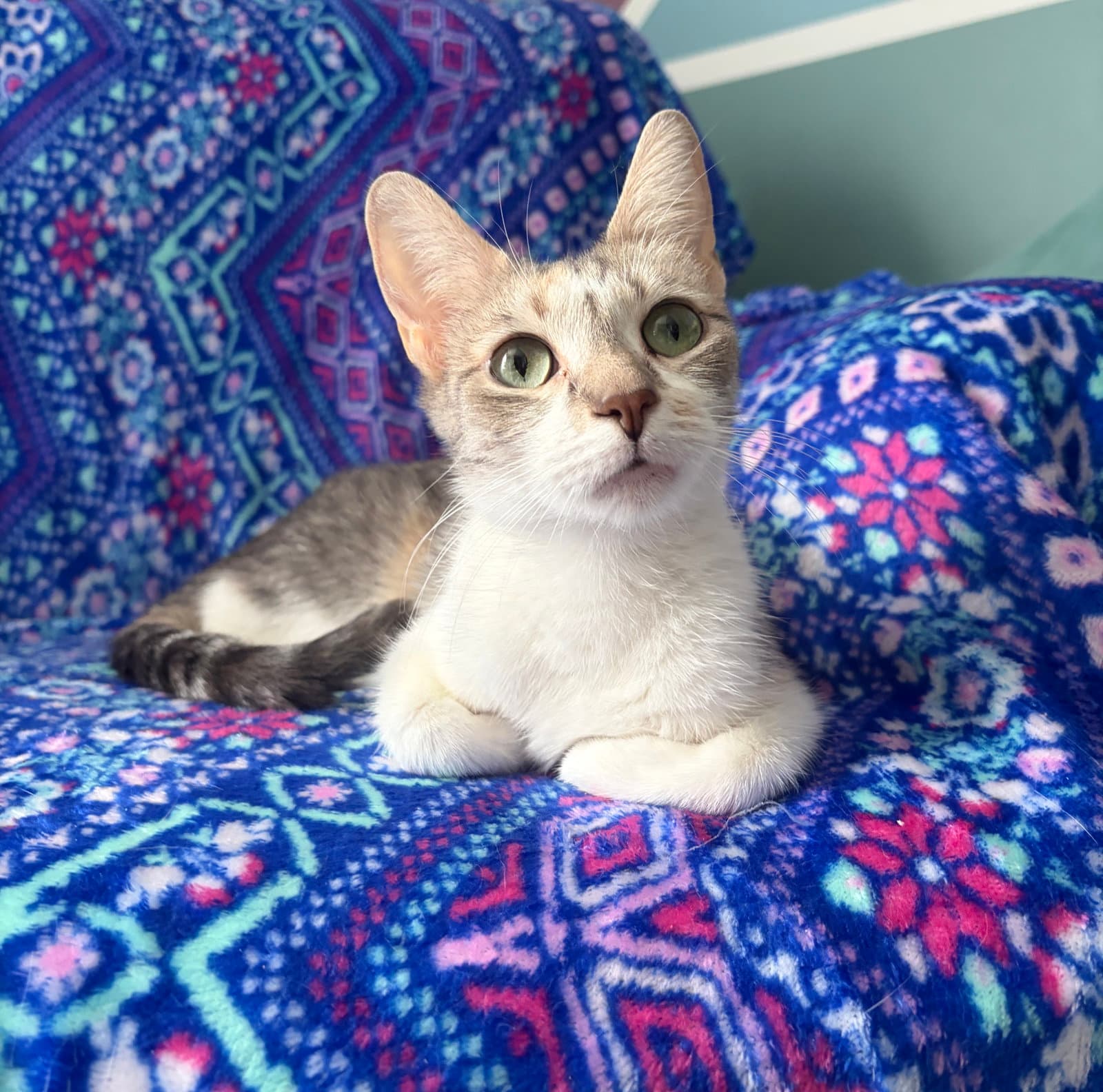 Jessie