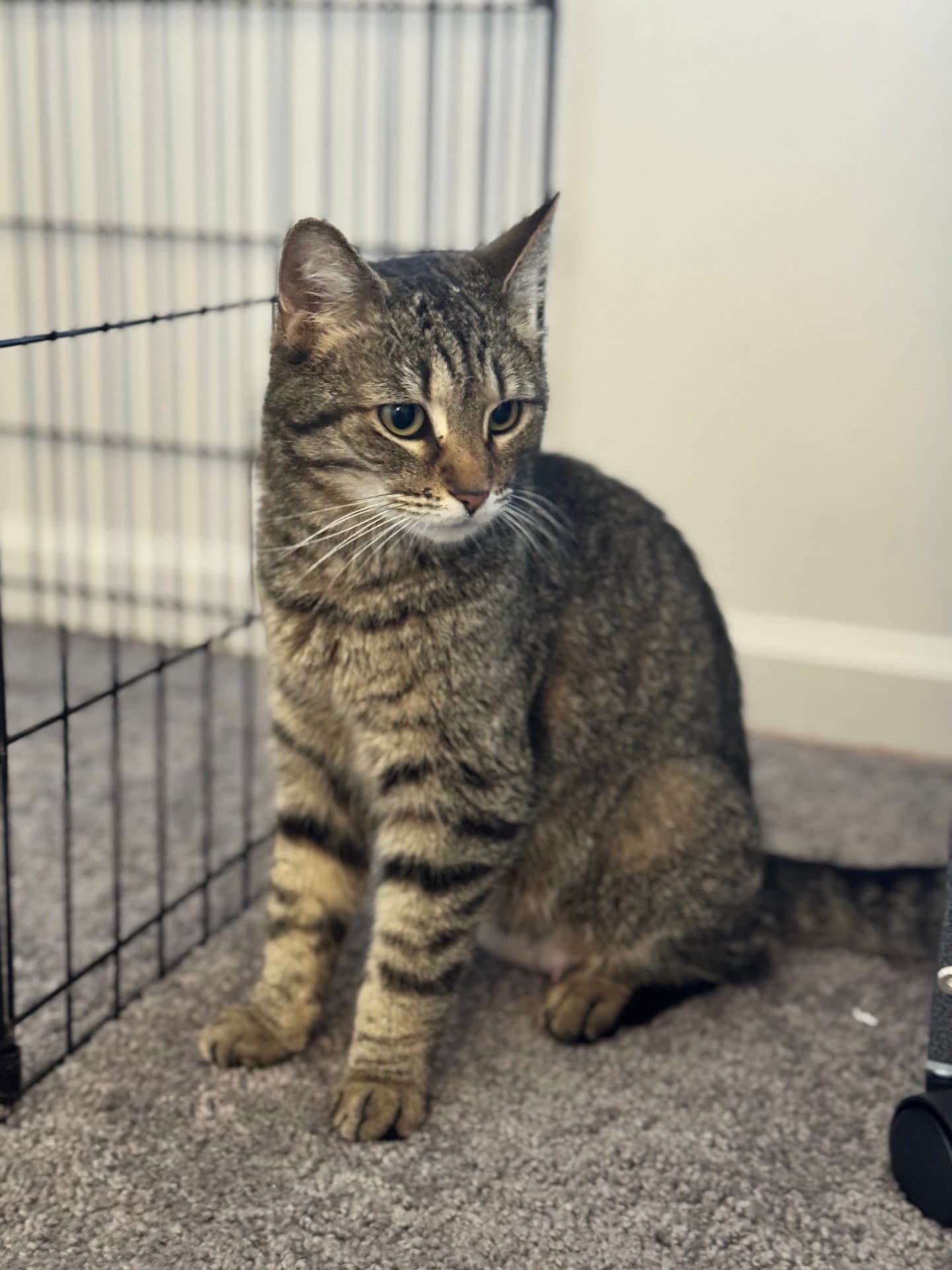 Jolene - Must Apply in Person !