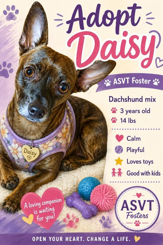 Daisy