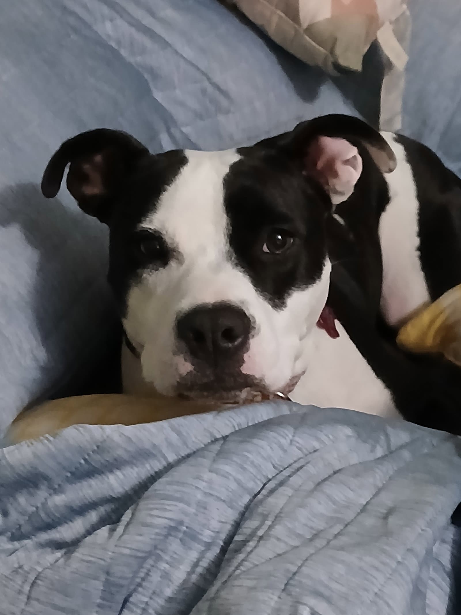 Lilith aka Lily
