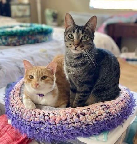 Parker and Echo