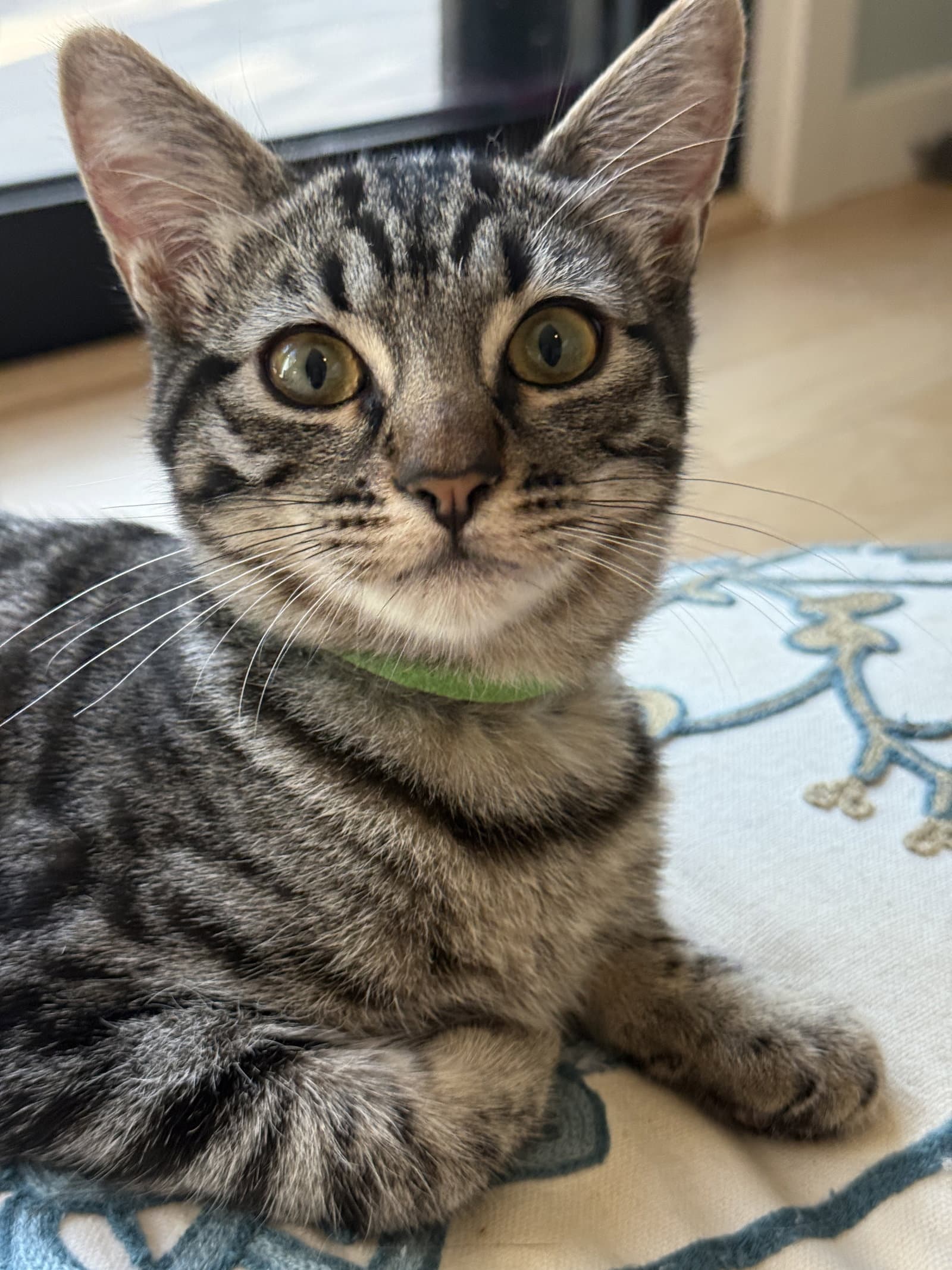 Nora